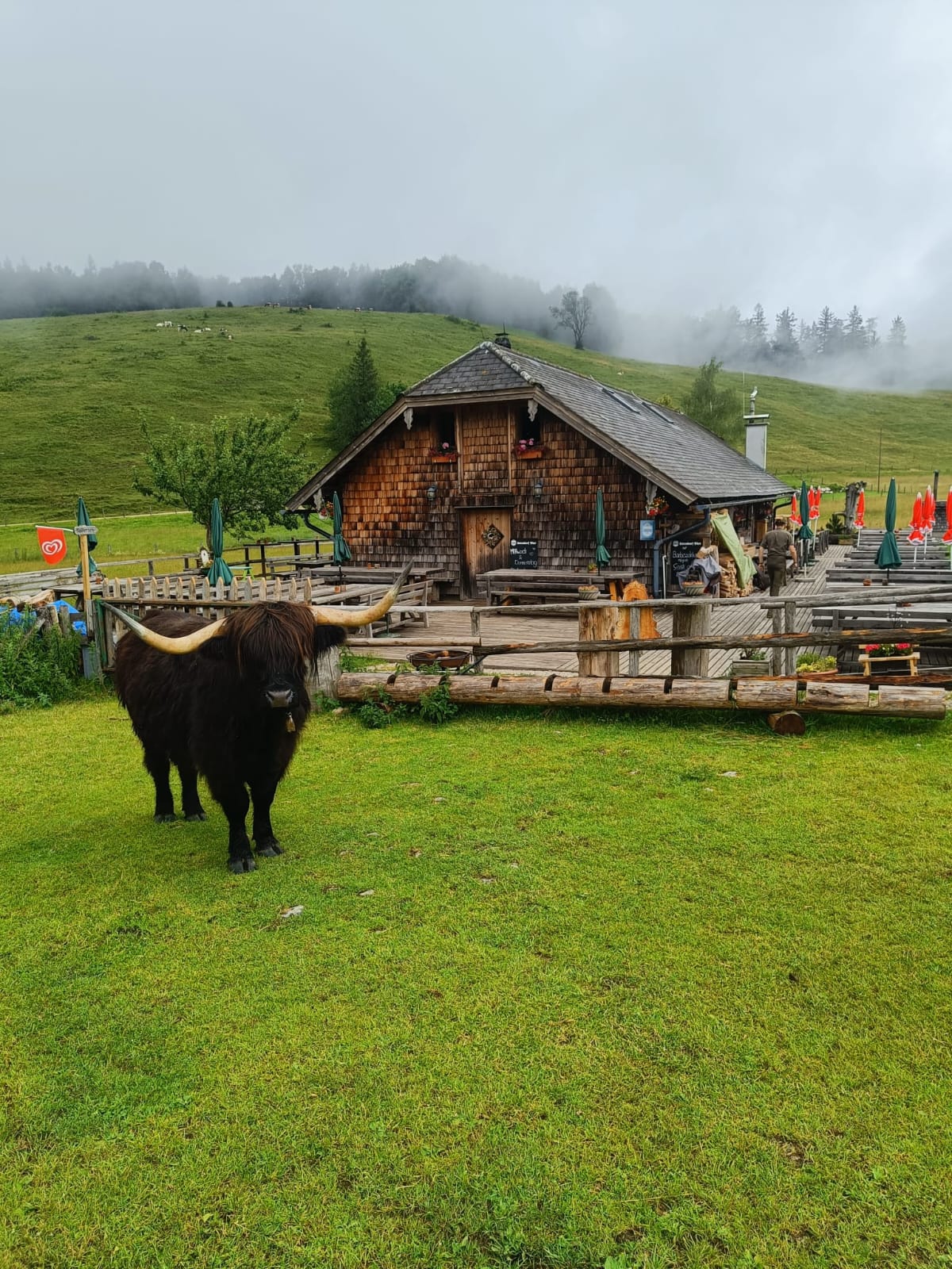 Hütte von außen mit Kuh